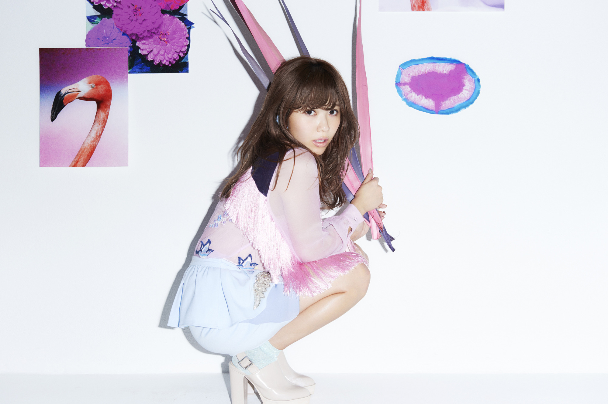 (未使用･未開封品)Pile SPECIAL LIVE!!!「P.S.ありがとう...」 at TOKYO DOME CITY HALL(DVD) Pile SPECIAL LIVE!!!「P.S.ありがとう」 at TOKYO DOME CITY