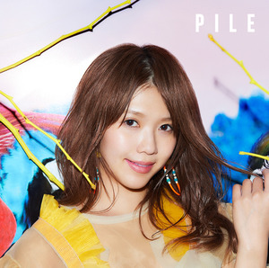 DISCOGRAPHY | Pile Official Web Site